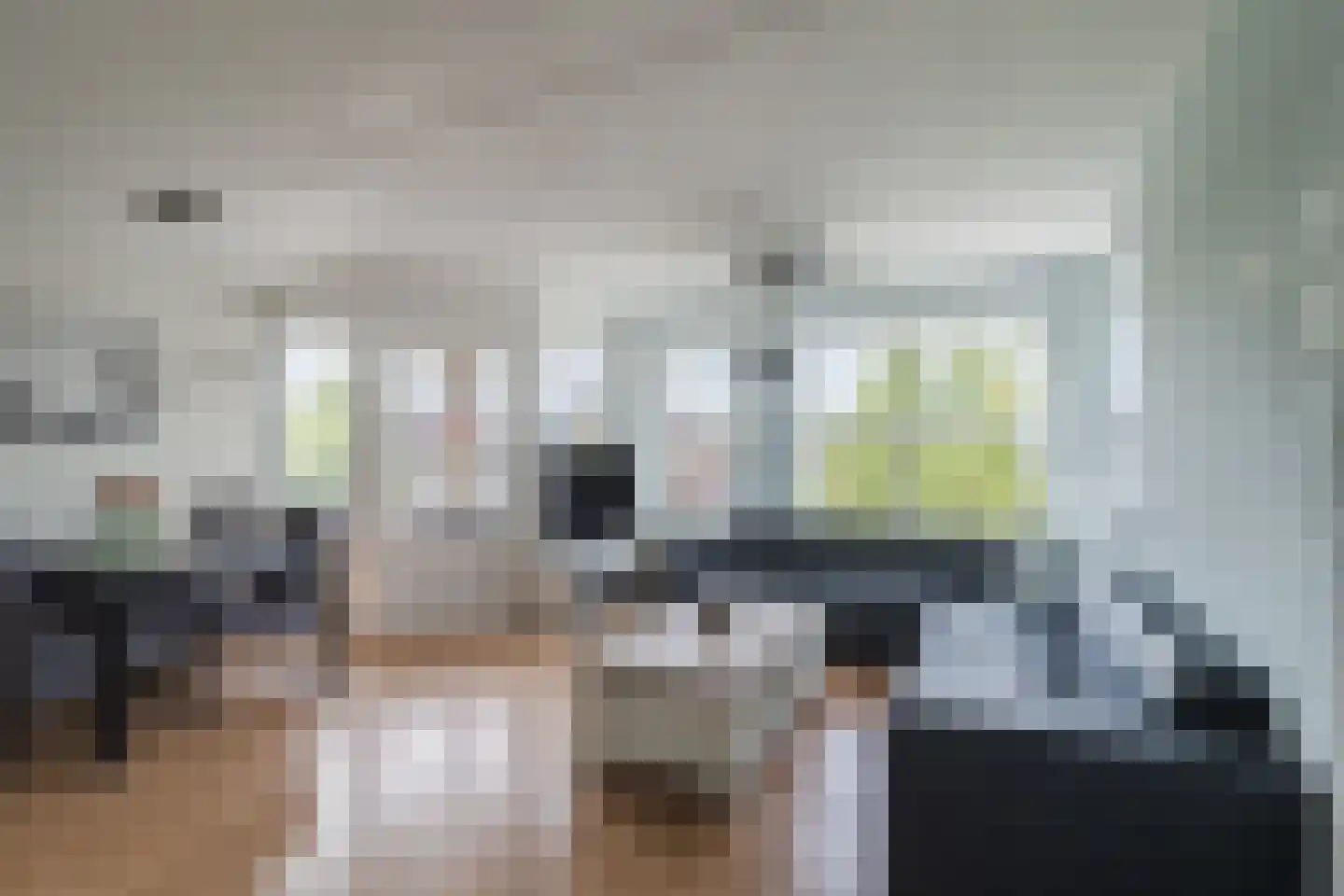Lage Rijndijk 125 Leiden thumbnail 5
