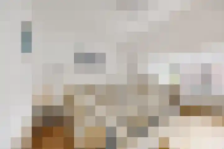 Lage Rijndijk 13 Leiden thumbnail 11