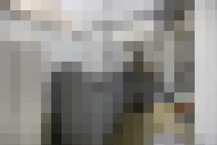 Lage Rijndijk 13 Leiden thumbnail 18