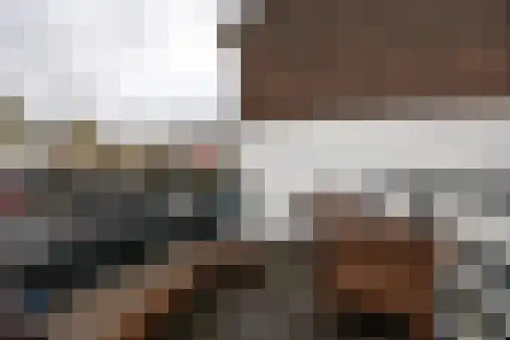 Lage Rijndijk 13 Leiden thumbnail 20