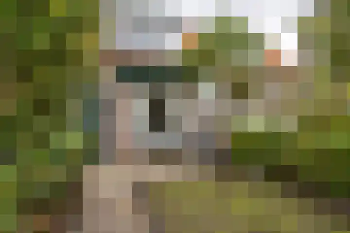 Lage Rijndijk 13 Leiden thumbnail 22