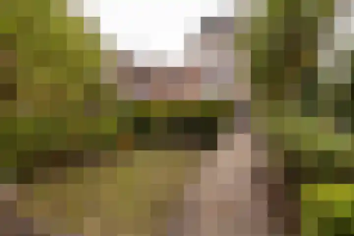 Lage Rijndijk 13 Leiden thumbnail 23