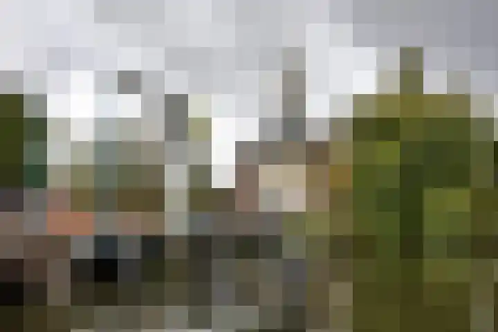 Lage Rijndijk 13 Leiden thumbnail 26