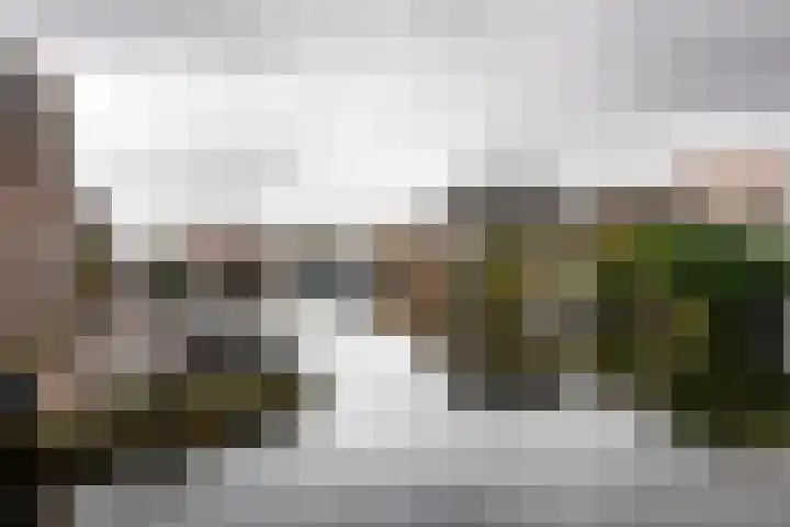 Lage Rijndijk 13 Leiden thumbnail 27