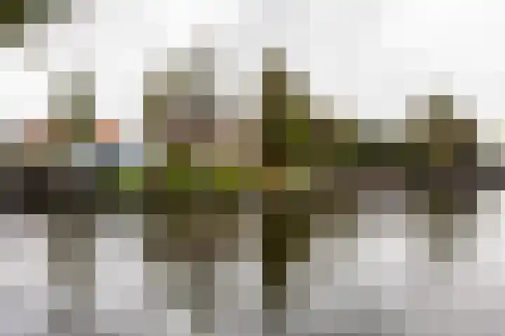 Lage Rijndijk 13 Leiden thumbnail 29