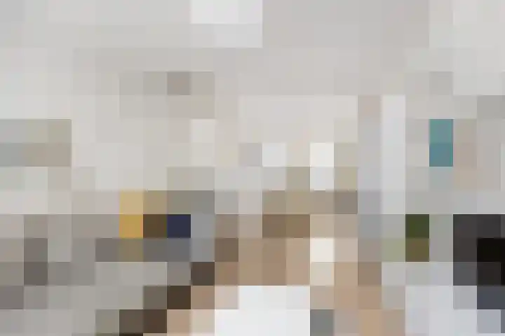Lage Rijndijk 13 Leiden thumbnail 4