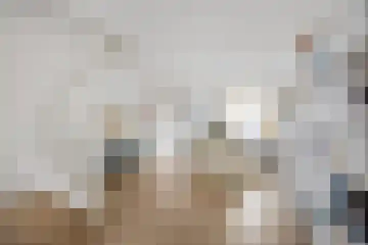 Lage Rijndijk 13 Leiden thumbnail 5