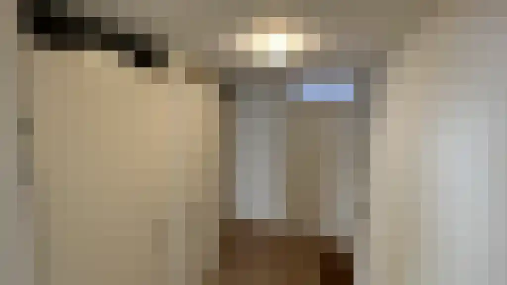 Lage Rijndijk 15 B Leiden thumbnail 5