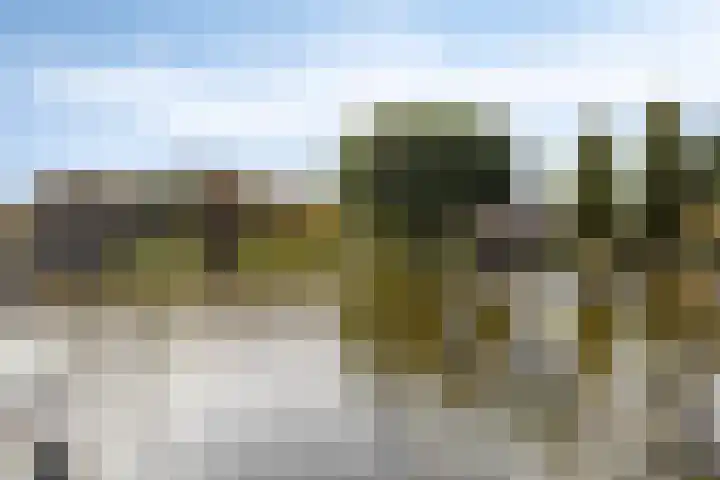 Lage Rijndijk 15 F Leiden thumbnail 37