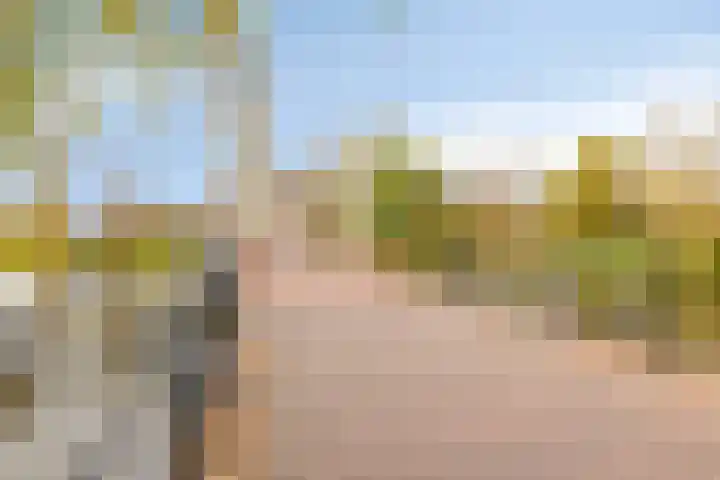 Lage Rijndijk 16 Leiden thumbnail 32