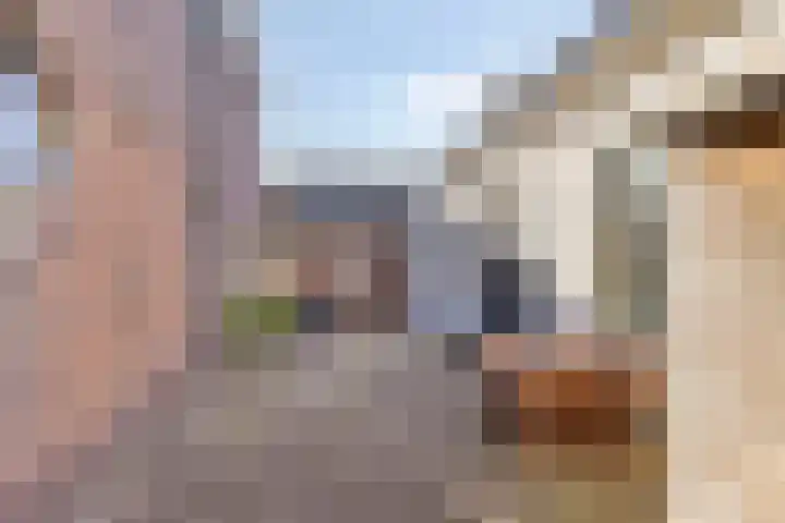 Lage Rijndijk 16 Leiden thumbnail 8