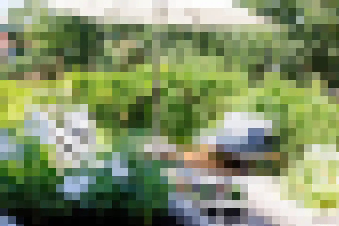 Lage Rijndijk 17 D Leiden thumbnail 23