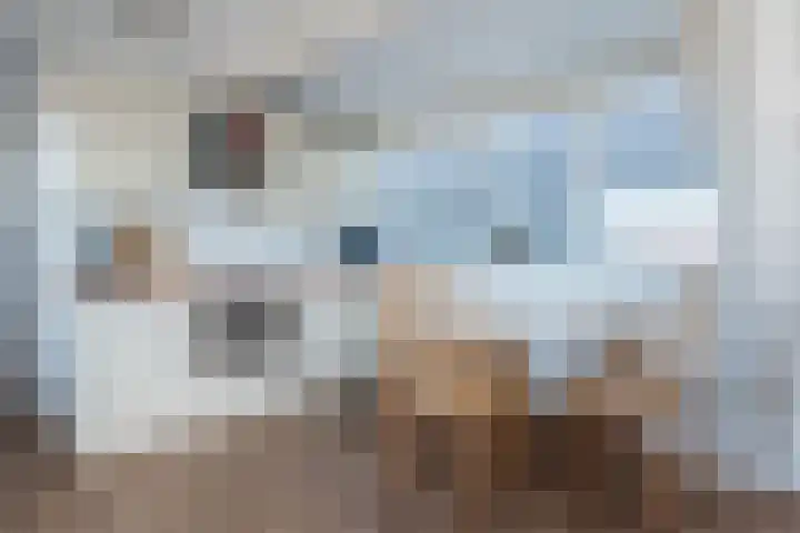 Lage Rijndijk 24 A Leiden thumbnail 12