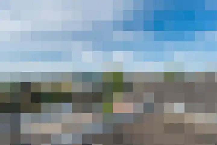 Lage Rijndijk 24 A Leiden thumbnail 20