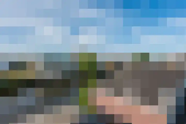 Lage Rijndijk 24 A Leiden thumbnail 22