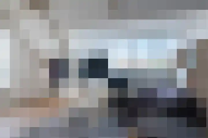 Lage Rijndijk 24 A Leiden thumbnail 7