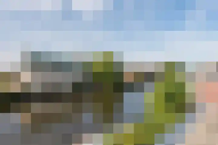 Lage Rijndijk 24 Leiden thumbnail 24