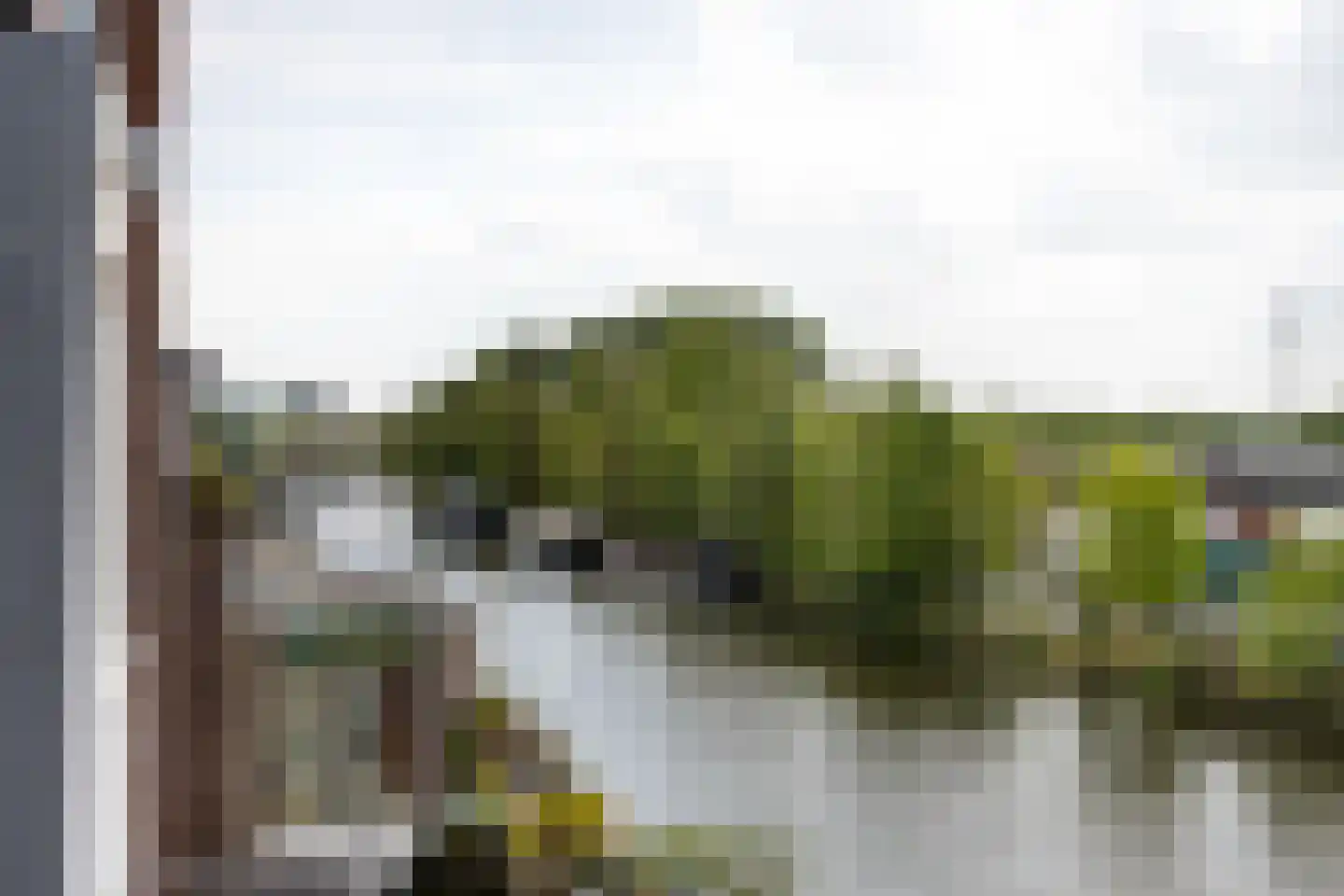 Lage Rijndijk 28 C Leiden thumbnail 18
