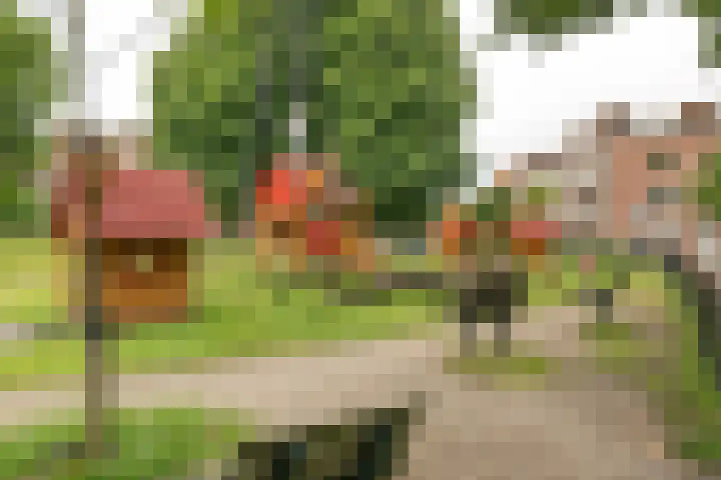 Lage Rijndijk 28 C Leiden thumbnail 22