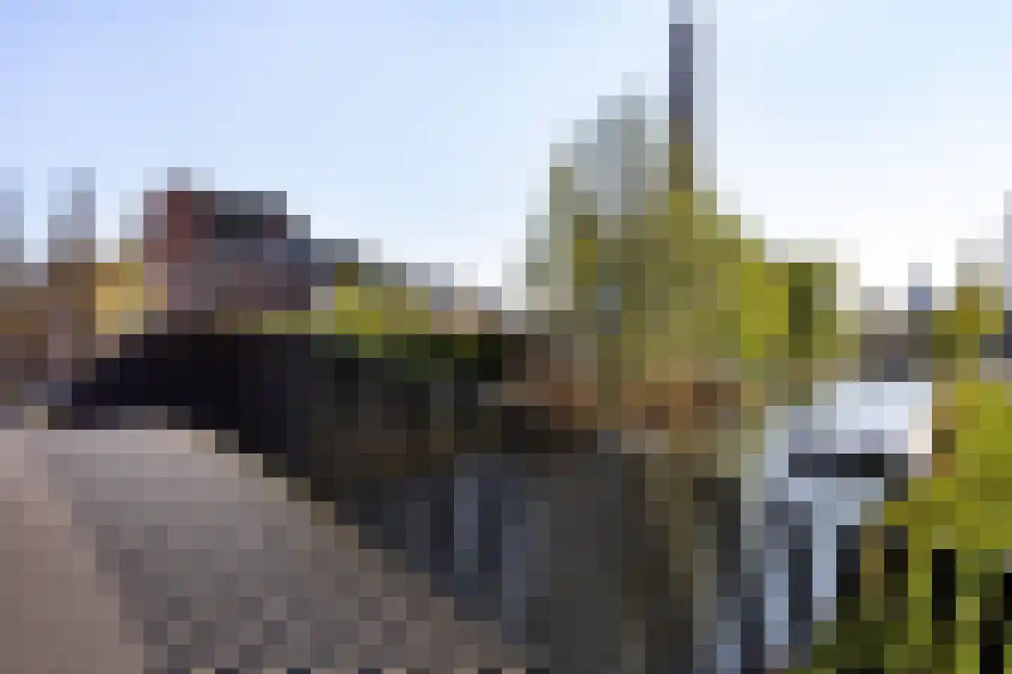 Lage Rijndijk 28 C Leiden thumbnail 23