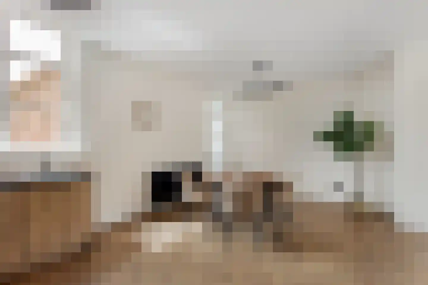 Lage Rijndijk 28 C Leiden thumbnail 7