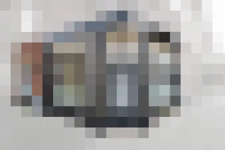 Lage Rijndijk 29 Leiden thumbnail 18