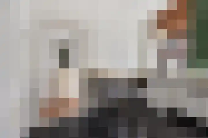Lage Rijndijk 31 Leiden thumbnail 10