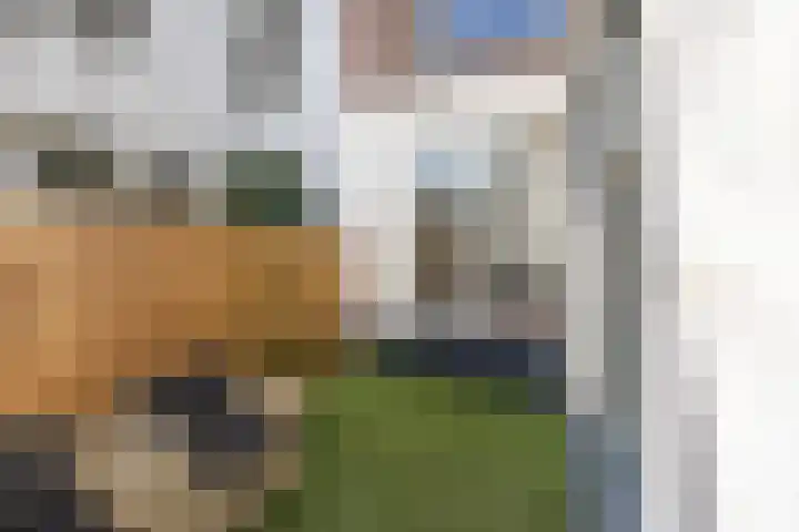 Lage Rijndijk 31 Leiden thumbnail 19