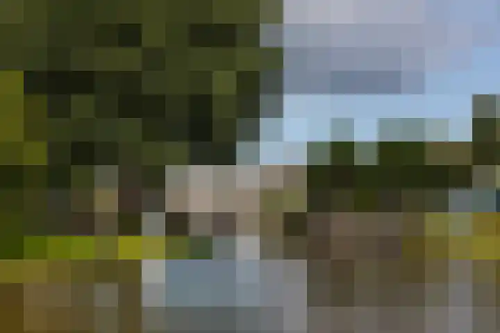 Lage Rijndijk 31 Leiden thumbnail 23