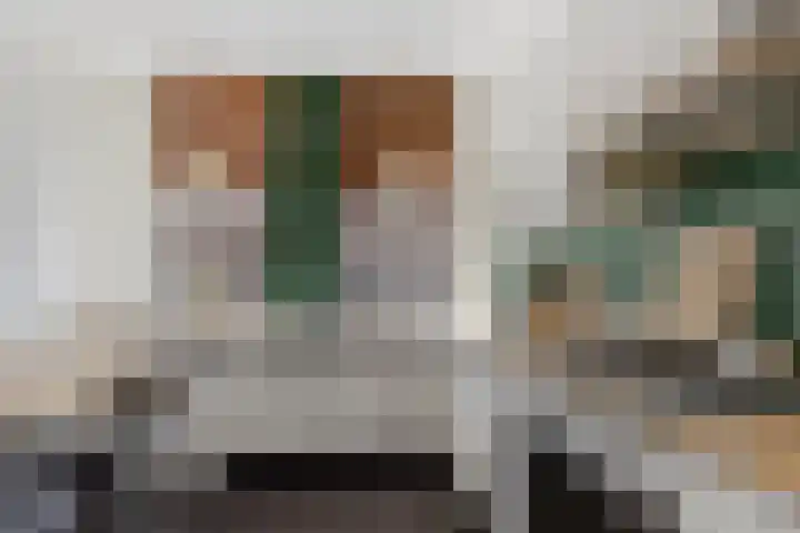 Lage Rijndijk 31 Leiden thumbnail 8