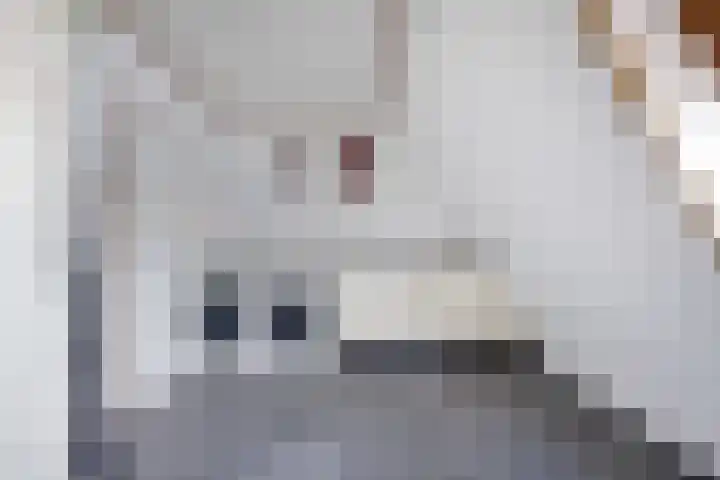 Lage Rijndijk 4 A Leiden thumbnail 12