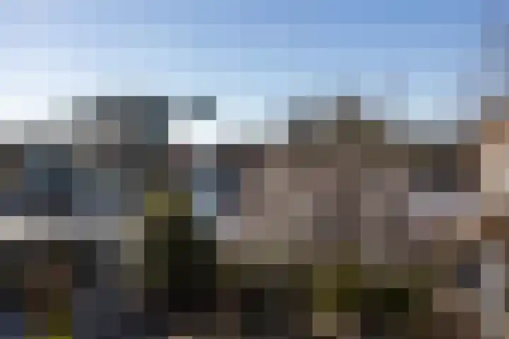 Lage Rijndijk 4 A Leiden thumbnail 15