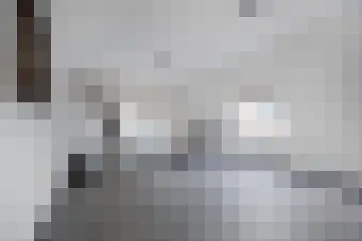 Lage Rijndijk 4 A Leiden thumbnail 16