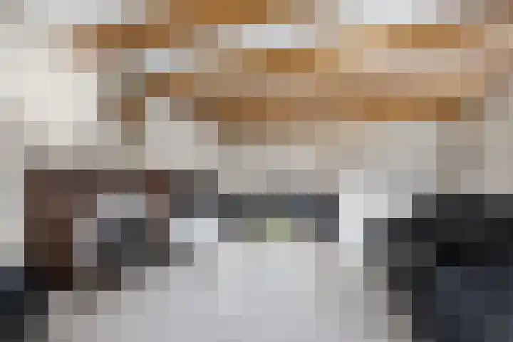 Lage Rijndijk 4 A Leiden thumbnail 5