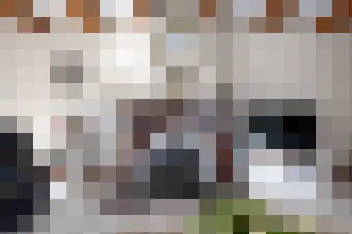 Lage Rijndijk 4 A Leiden thumbnail 7