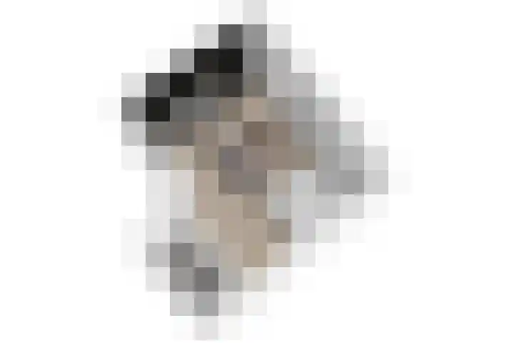Lage Rijndijk 41 A Leiden thumbnail 12
