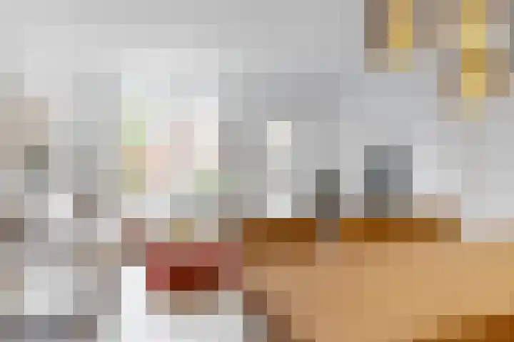Lage Rijndijk 41 Leiden thumbnail 10