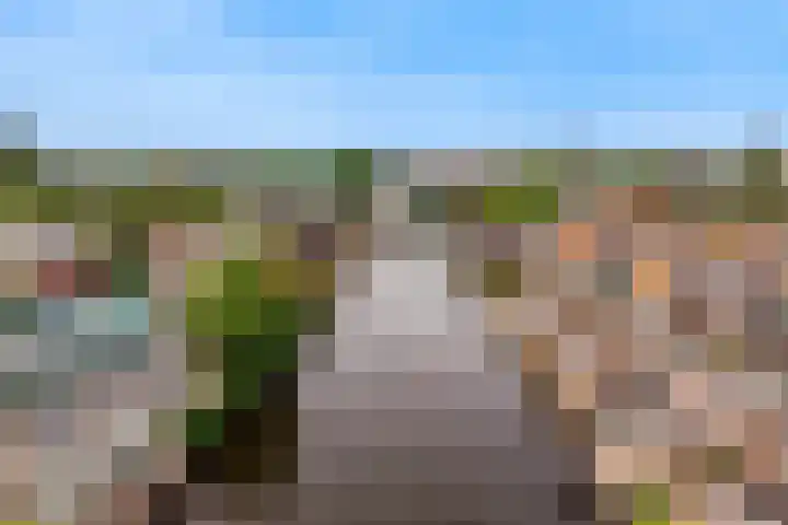 Lage Rijndijk 41 Leiden thumbnail 25