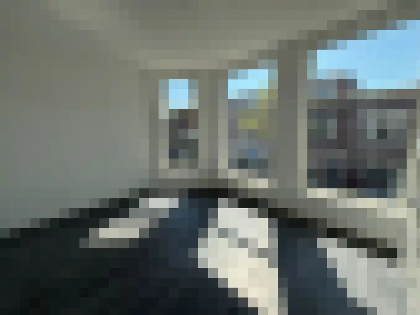 Lage Rijndijk 43 B Leiden thumbnail 4