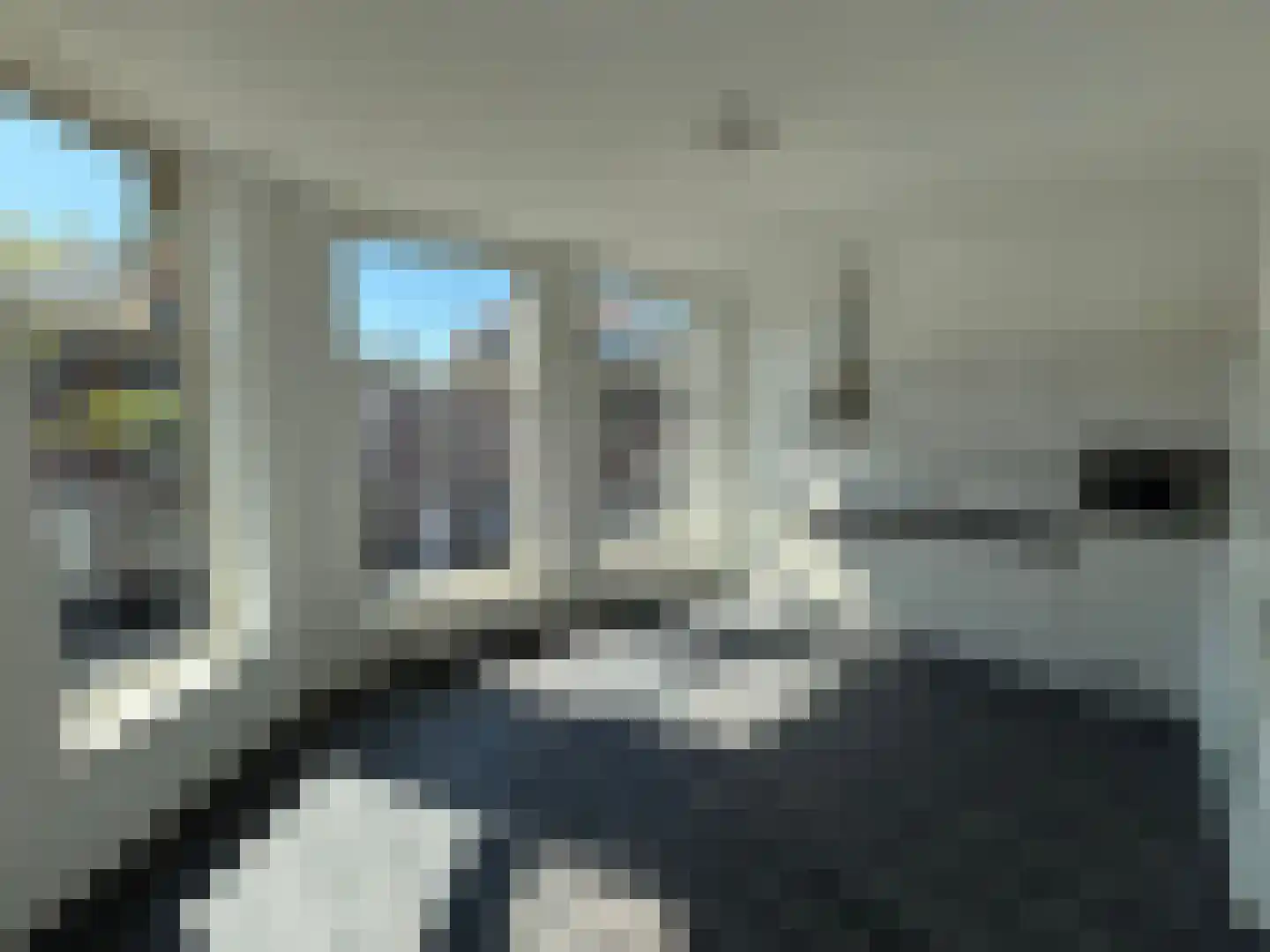 Lage Rijndijk 43 B Leiden thumbnail 5
