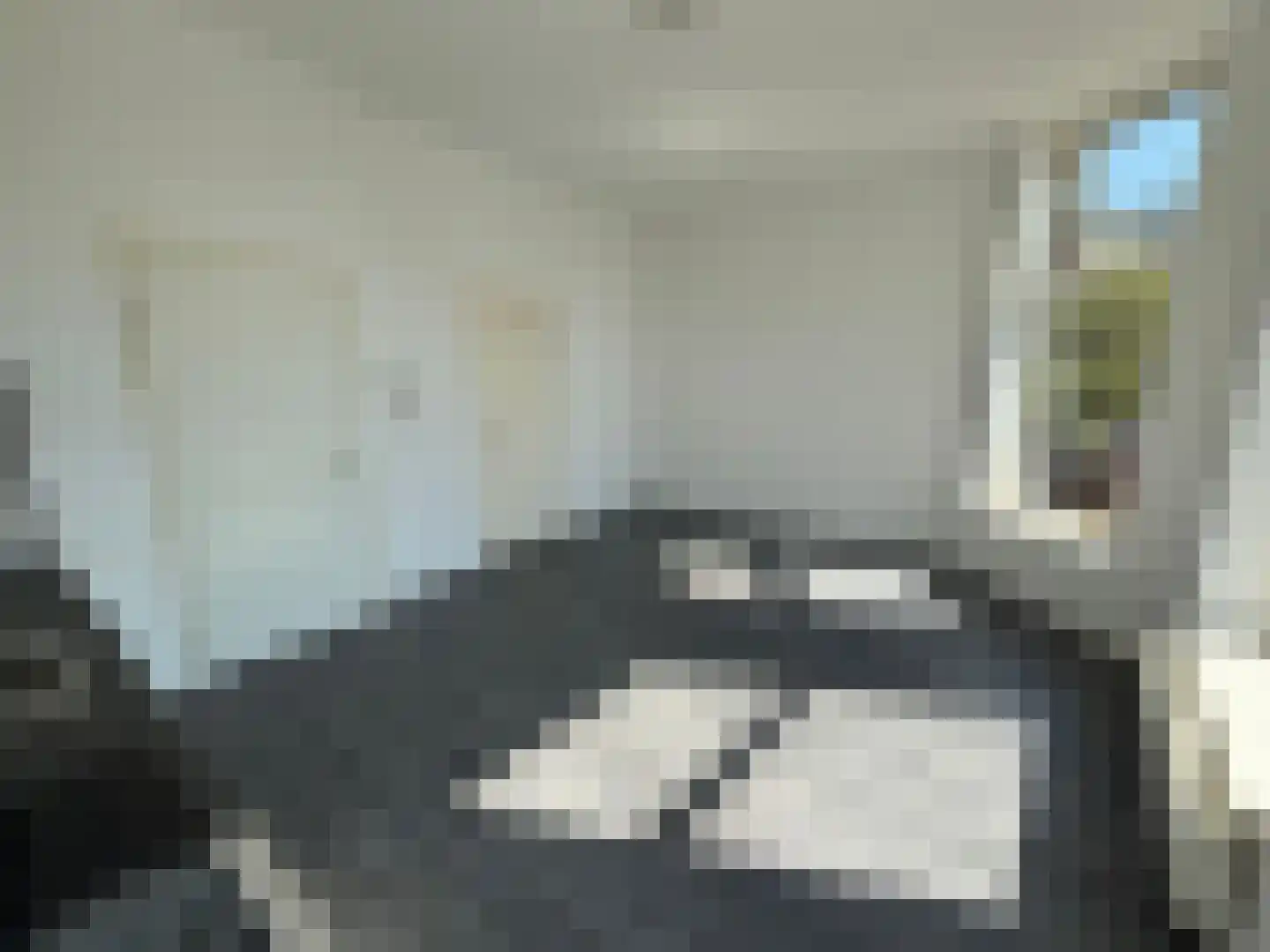 Lage Rijndijk 43 B Leiden thumbnail 8