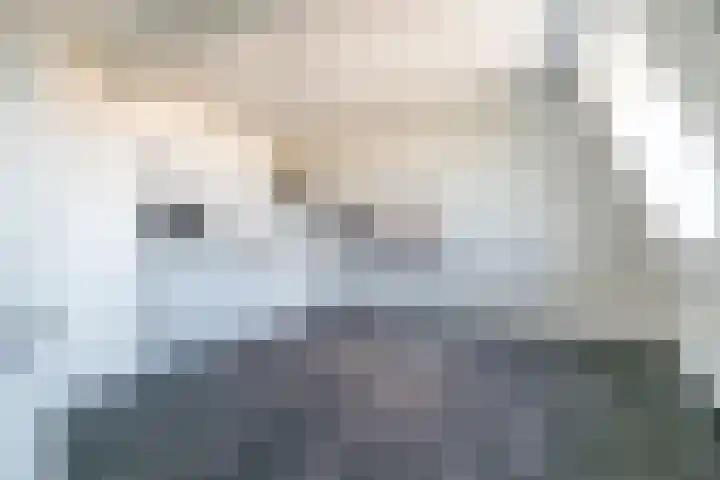 Lage Rijndijk 43 C Leiden thumbnail 4