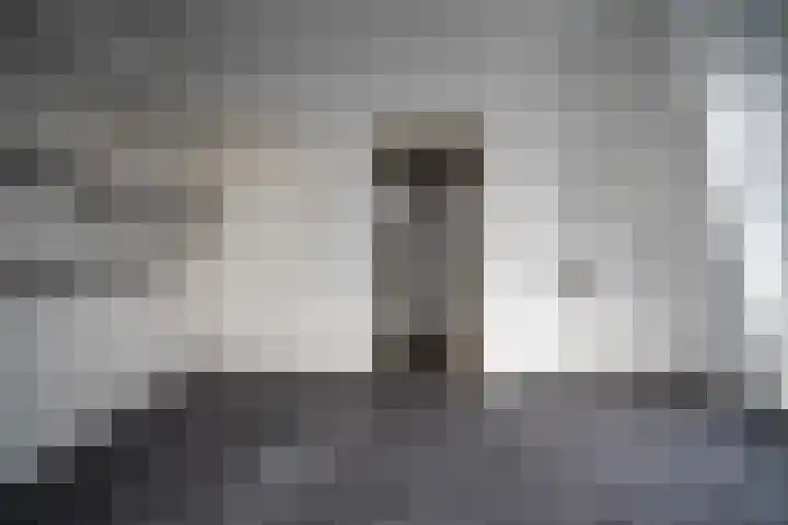 Lage Rijndijk 43 D Leiden thumbnail 11