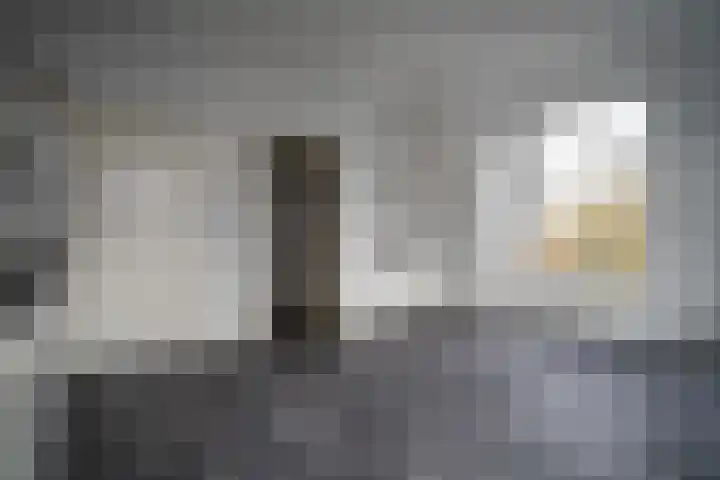 Lage Rijndijk 43 D Leiden thumbnail 6