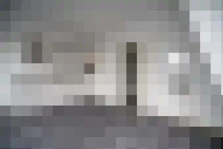 Lage Rijndijk 43 D Leiden thumbnail 9