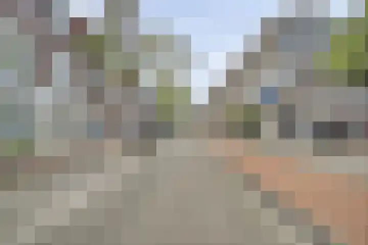 Lage Rijndijk 43 E Leiden thumbnail 15