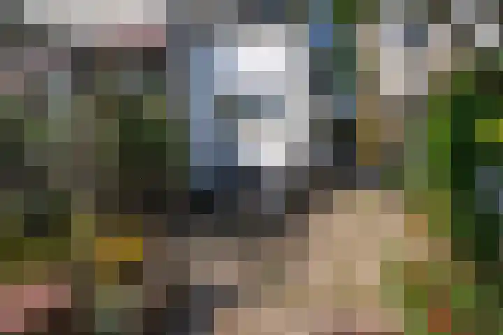 Lage Rijndijk 44 Leiden thumbnail 16