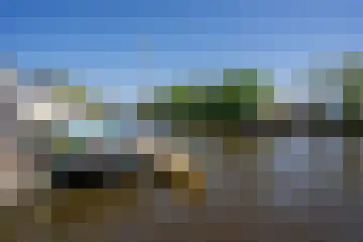 Lage Rijndijk 44 Leiden thumbnail 19