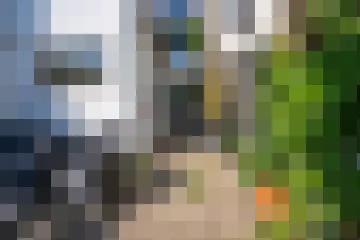 Lage Rijndijk 44 Leiden thumbnail 20