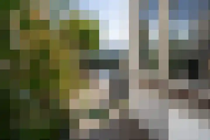 Lage Rijndijk 44 Leiden thumbnail 21